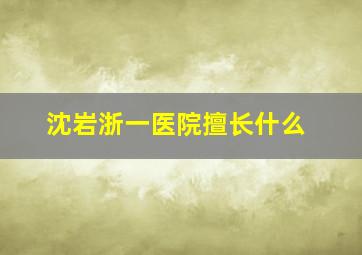 沈岩浙一医院擅长什么