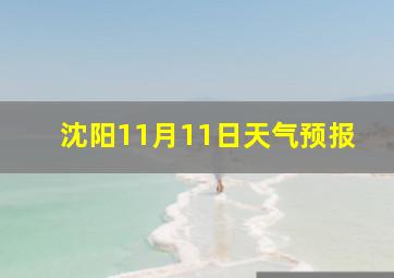 沈阳11月11日天气预报