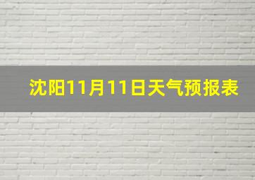 沈阳11月11日天气预报表