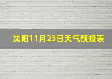 沈阳11月23日天气预报表