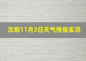 沈阳11月3日天气预报实况