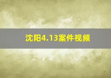 沈阳4.13案件视频