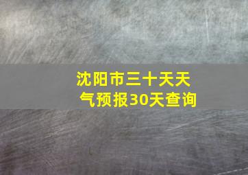 沈阳市三十天天气预报30天查询