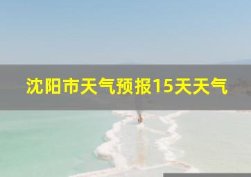 沈阳市天气预报15天天气