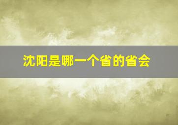 沈阳是哪一个省的省会