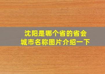 沈阳是哪个省的省会城市名称图片介绍一下