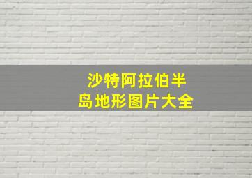 沙特阿拉伯半岛地形图片大全