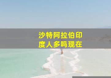 沙特阿拉伯印度人多吗现在