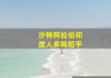 沙特阿拉伯印度人多吗知乎