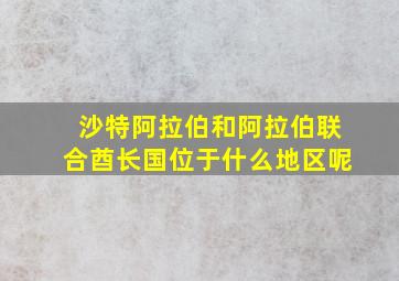 沙特阿拉伯和阿拉伯联合酋长国位于什么地区呢