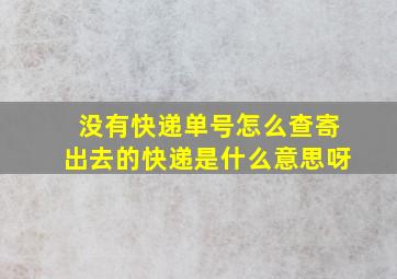 没有快递单号怎么查寄出去的快递是什么意思呀