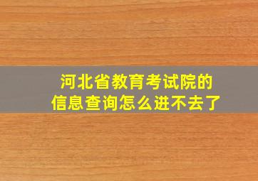 河北省教育考试院的信息查询怎么进不去了