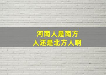 河南人是南方人还是北方人啊