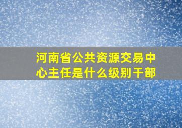 河南省公共资源交易中心主任是什么级别干部