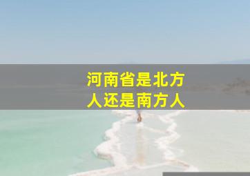 河南省是北方人还是南方人