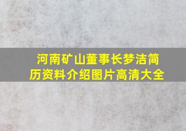 河南矿山董事长梦洁简历资料介绍图片高清大全