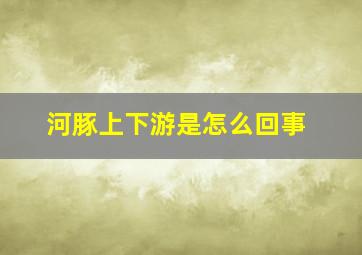 河豚上下游是怎么回事