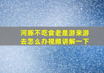 河豚不吃食老是游来游去怎么办视频讲解一下