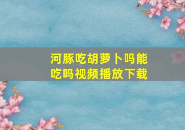 河豚吃胡萝卜吗能吃吗视频播放下载