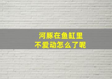 河豚在鱼缸里不爱动怎么了呢