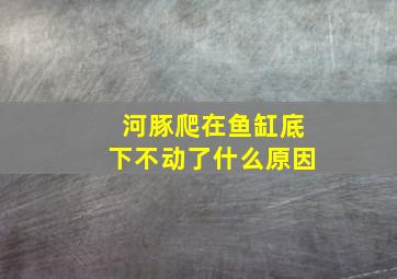 河豚爬在鱼缸底下不动了什么原因