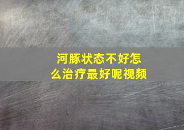 河豚状态不好怎么治疗最好呢视频