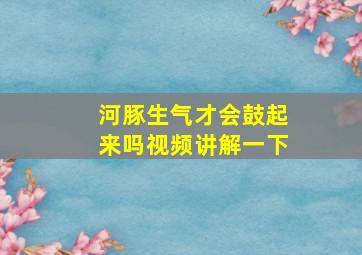 河豚生气才会鼓起来吗视频讲解一下