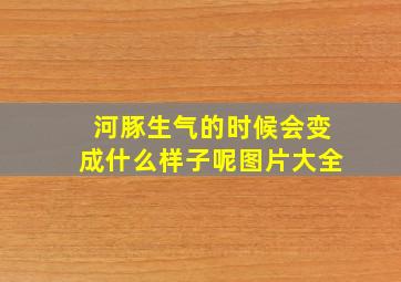 河豚生气的时候会变成什么样子呢图片大全