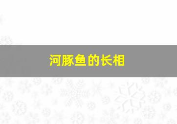 河豚鱼的长相