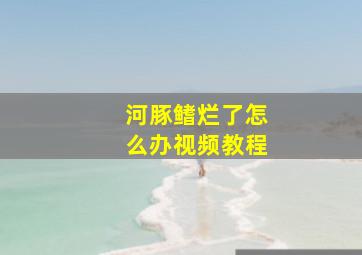 河豚鳍烂了怎么办视频教程