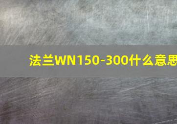 法兰WN150-300什么意思