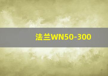 法兰WN50-300