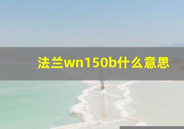 法兰wn150b什么意思