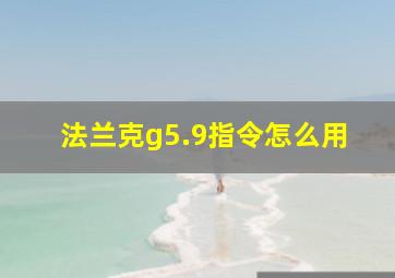 法兰克g5.9指令怎么用