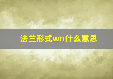 法兰形式wn什么意思