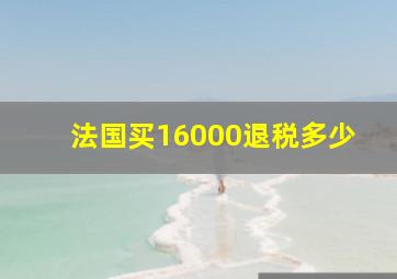 法国买16000退税多少