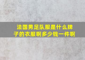 法国男足队服是什么牌子的衣服啊多少钱一件啊