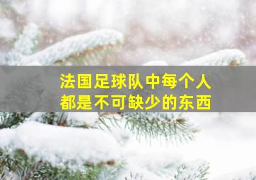 法国足球队中每个人都是不可缺少的东西