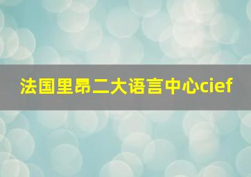 法国里昂二大语言中心cief