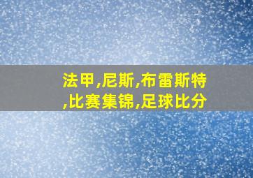 法甲,尼斯,布雷斯特,比赛集锦,足球比分