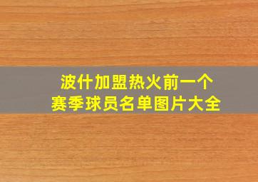 波什加盟热火前一个赛季球员名单图片大全