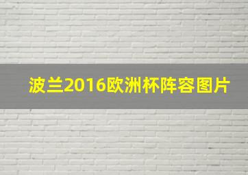 波兰2016欧洲杯阵容图片