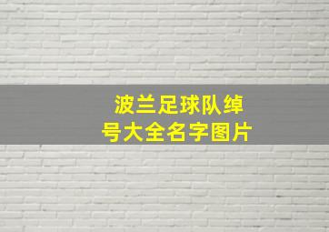 波兰足球队绰号大全名字图片