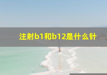 注射b1和b12是什么针