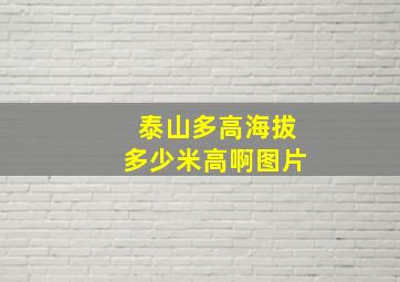 泰山多高海拔多少米高啊图片