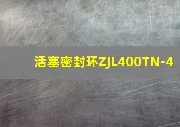 活塞密封环ZJL400TN-4