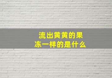 流出黄黄的果冻一样的是什么