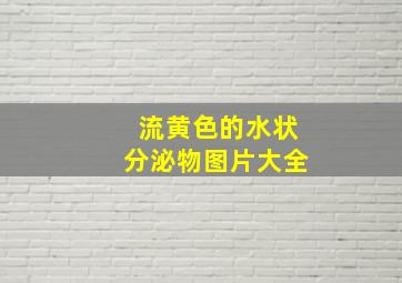 流黄色的水状分泌物图片大全