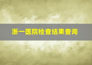 浙一医院检查结果查询