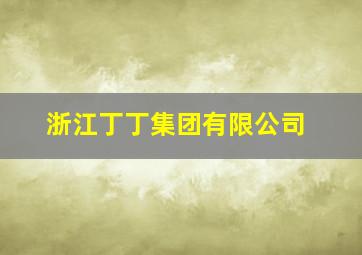 浙江丁丁集团有限公司